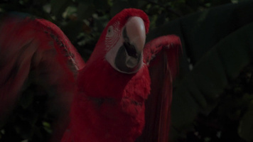 El Norte Still Image