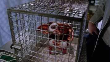 Gremlins 2: The New Batch Still Image