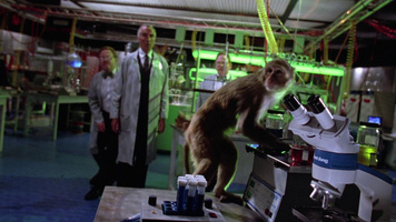 Gremlins 2: The New Batch Still Image