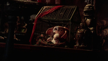 Gremlins 2: The New Batch Still Image