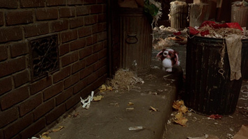 Gremlins 2: The New Batch Still Image