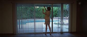 American Beauty Still Image