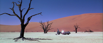 The Cell Still Image