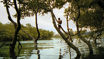 City of God Still Image