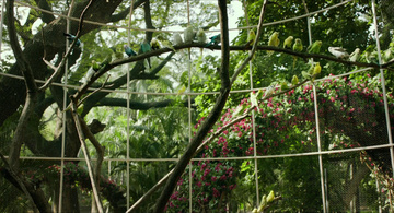 Life of Pi Still Image