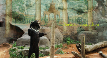 Life of Pi Still Image