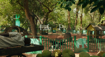 Life of Pi Still Image
