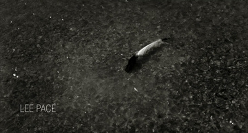 The Fall Still Image