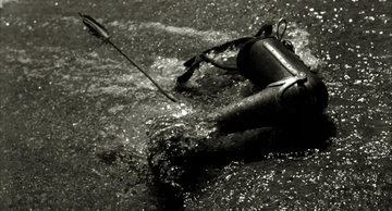 The Fall Still Image