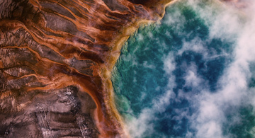 The Tree of Life Still Image
