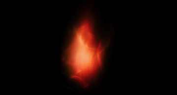 The Tree of Life Still Image