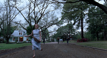 The Tree of Life Still Image