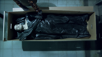 Avatar Still Image