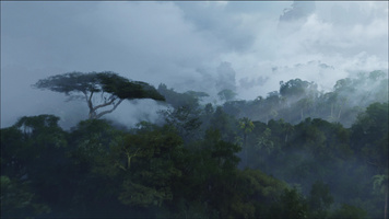 Avatar Still Image