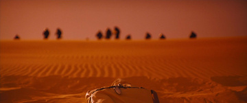 Dune: Part Two Still Image