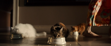 Bohemian Rhapsody Still Image