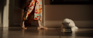 Bohemian Rhapsody Still Image