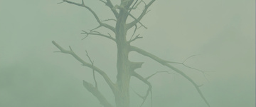 Blade Runner 2049 Still Image