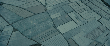 Blade Runner 2049 Still Image