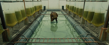Blade Runner 2049 Still Image