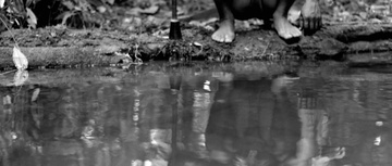 Embrace of the Serpent Still Image