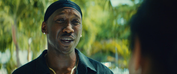 Moonlight Still Image