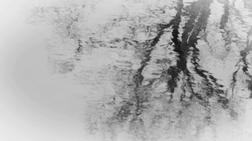 November Still Image