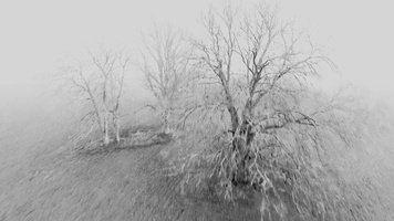November Still Image