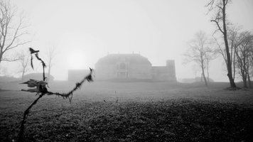 November Still Image