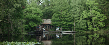 Where the Crawdads Sing Still Image