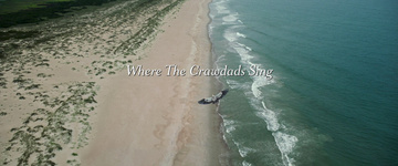 Where the Crawdads Sing Still Image
