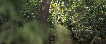 Where the Crawdads Sing Still Image