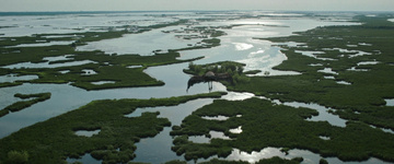 Where the Crawdads Sing Still Image